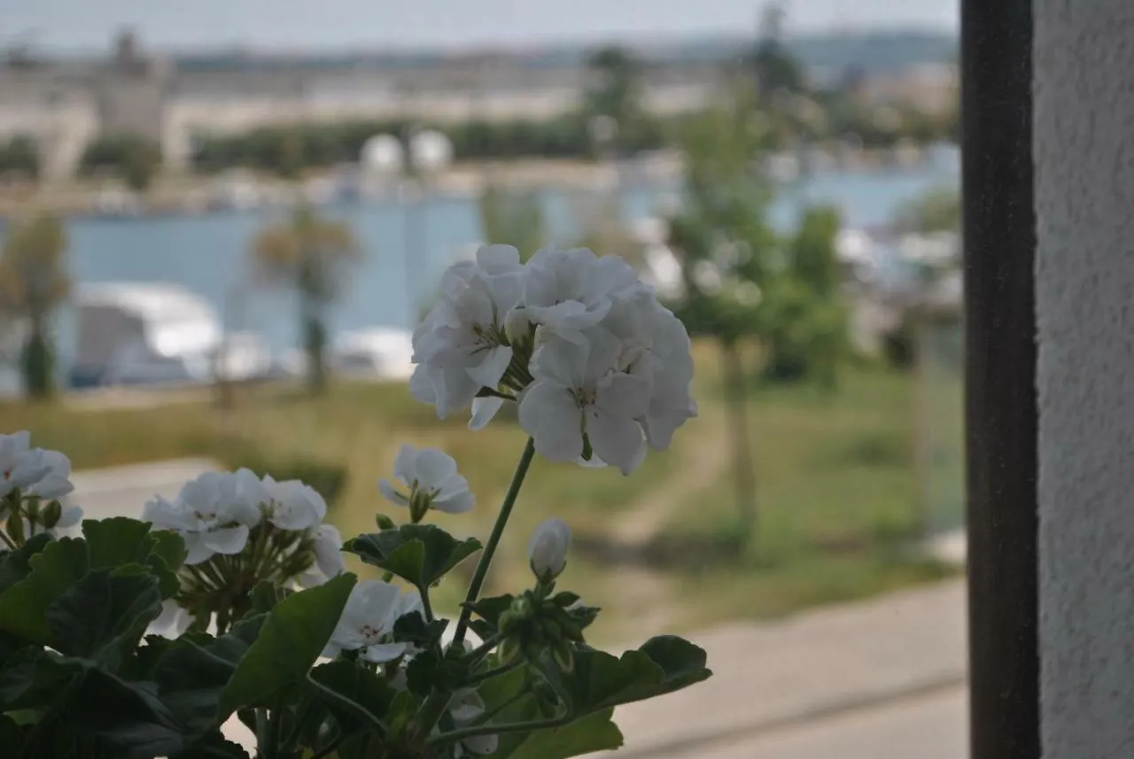 Apartments Rita Zadar Croatia